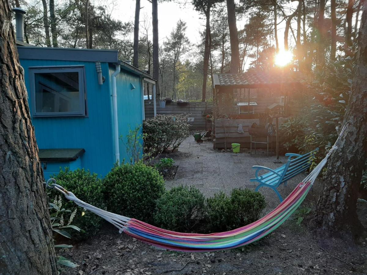 Boshuis Turquoise / Smaakvol Genieten Op De Veluwe Hoenderloo Εξωτερικό φωτογραφία