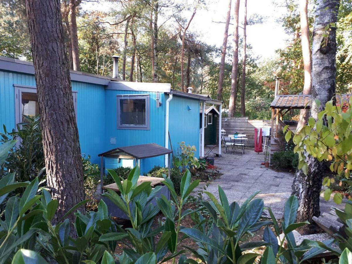 Boshuis Turquoise / Smaakvol Genieten Op De Veluwe Hoenderloo Εξωτερικό φωτογραφία