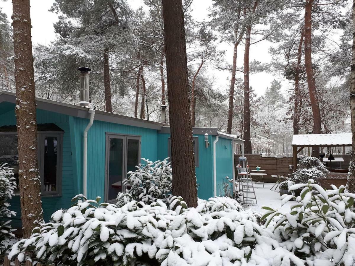 Boshuis Turquoise / Smaakvol Genieten Op De Veluwe Hoenderloo Εξωτερικό φωτογραφία
