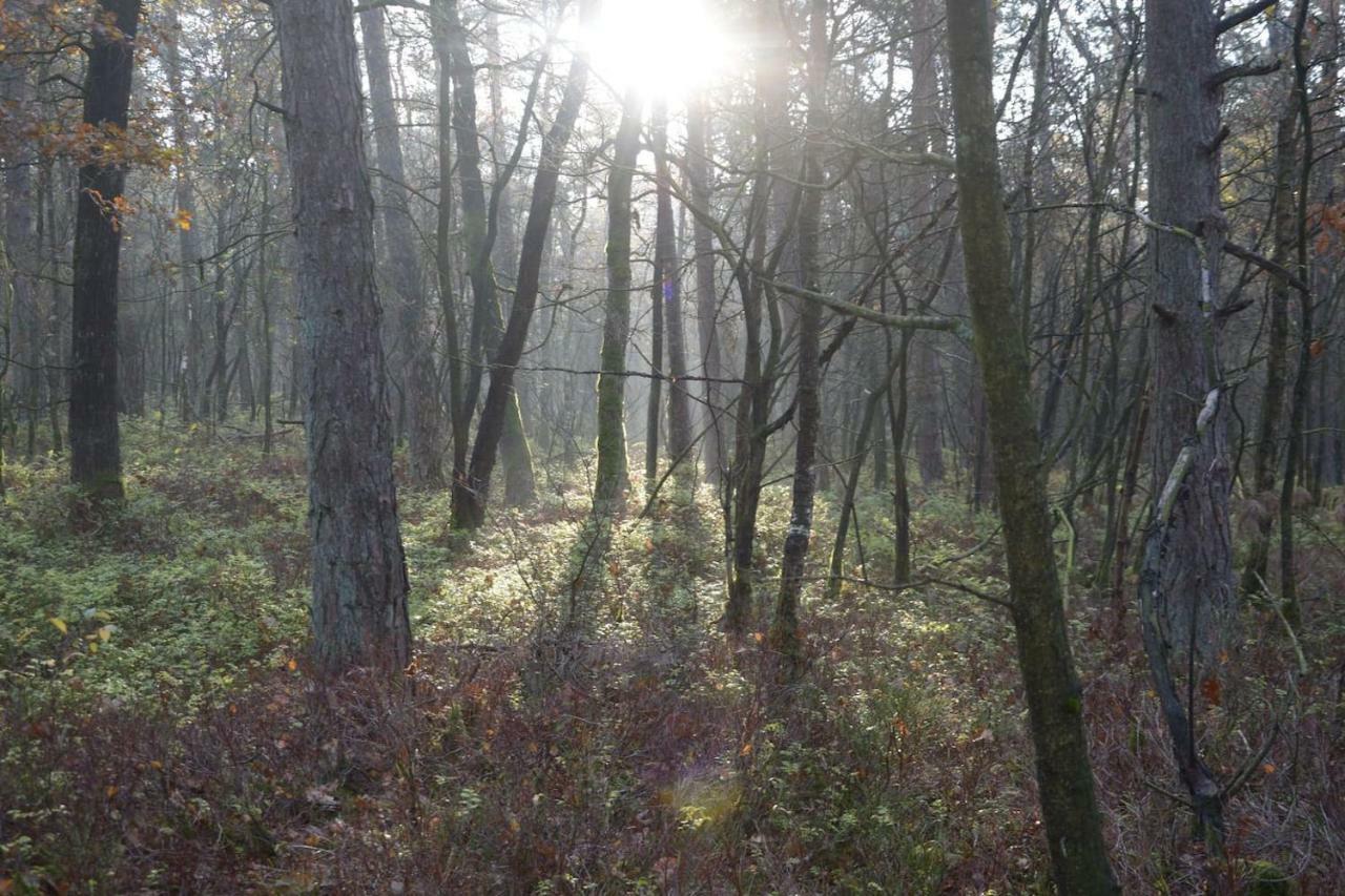 Boshuis Turquoise / Smaakvol Genieten Op De Veluwe Hoenderloo Εξωτερικό φωτογραφία