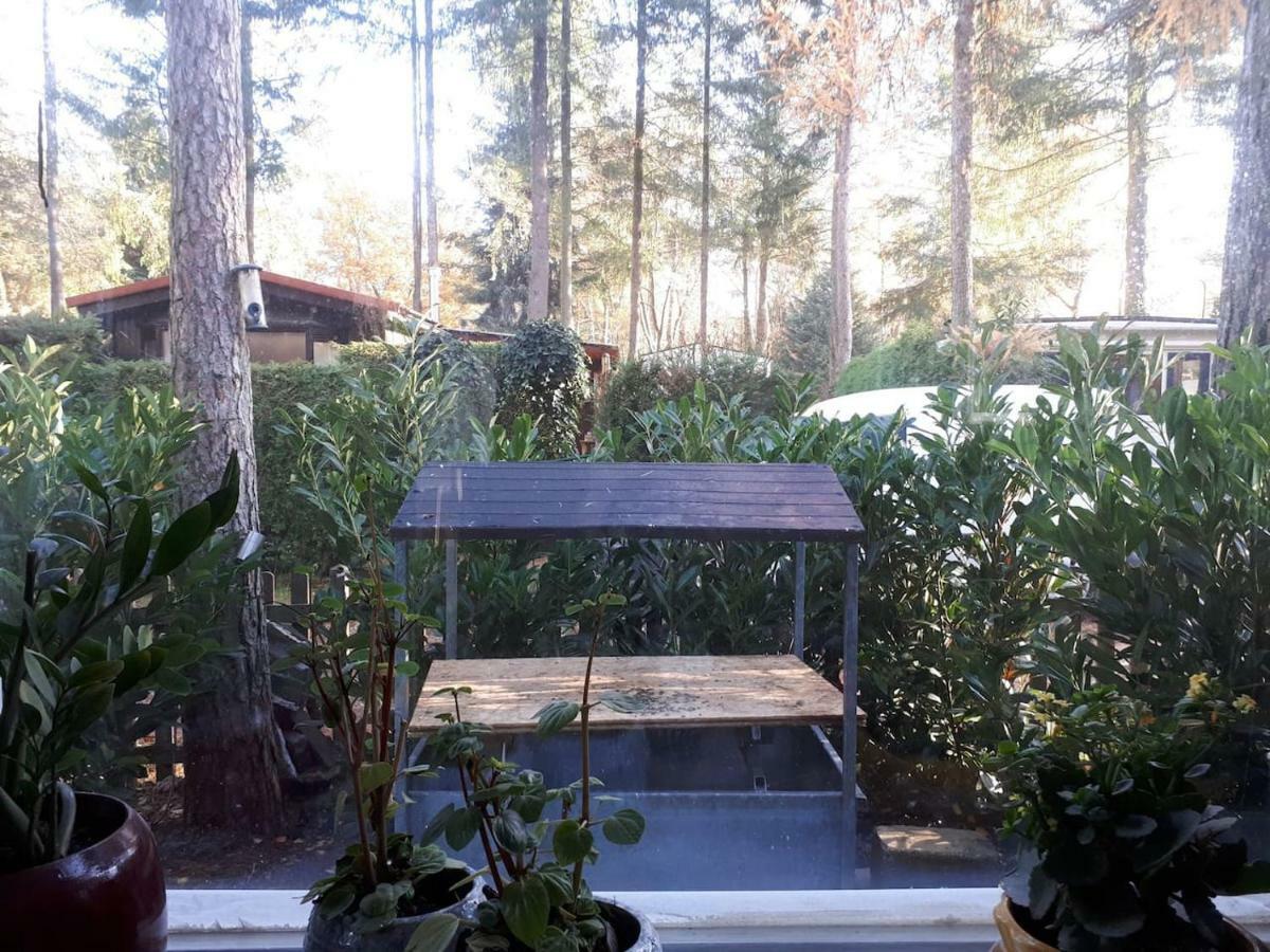 Boshuis Turquoise / Smaakvol Genieten Op De Veluwe Hoenderloo Εξωτερικό φωτογραφία