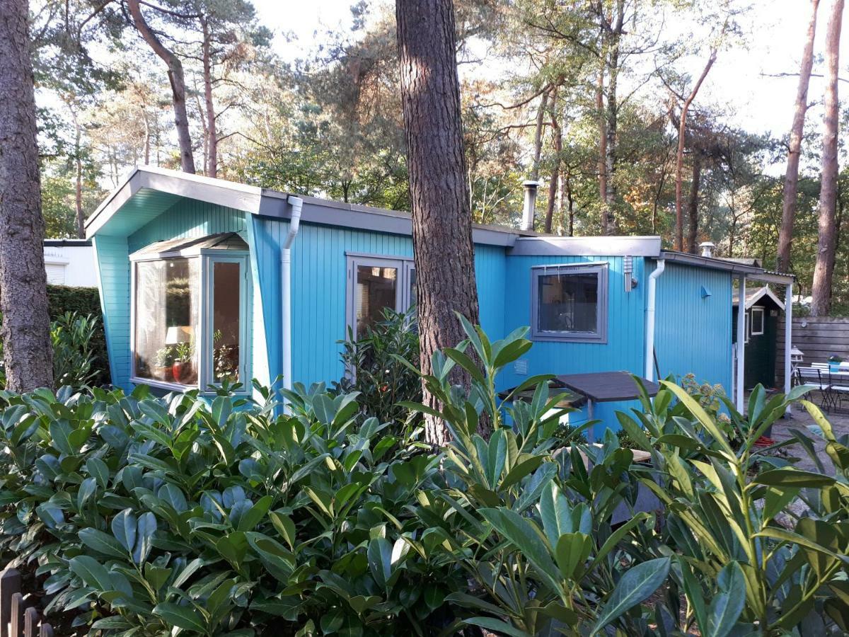 Boshuis Turquoise / Smaakvol Genieten Op De Veluwe Hoenderloo Εξωτερικό φωτογραφία