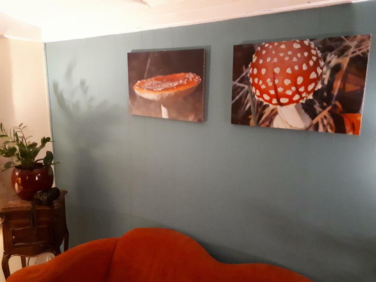 Boshuis Turquoise / Smaakvol Genieten Op De Veluwe Hoenderloo Εξωτερικό φωτογραφία