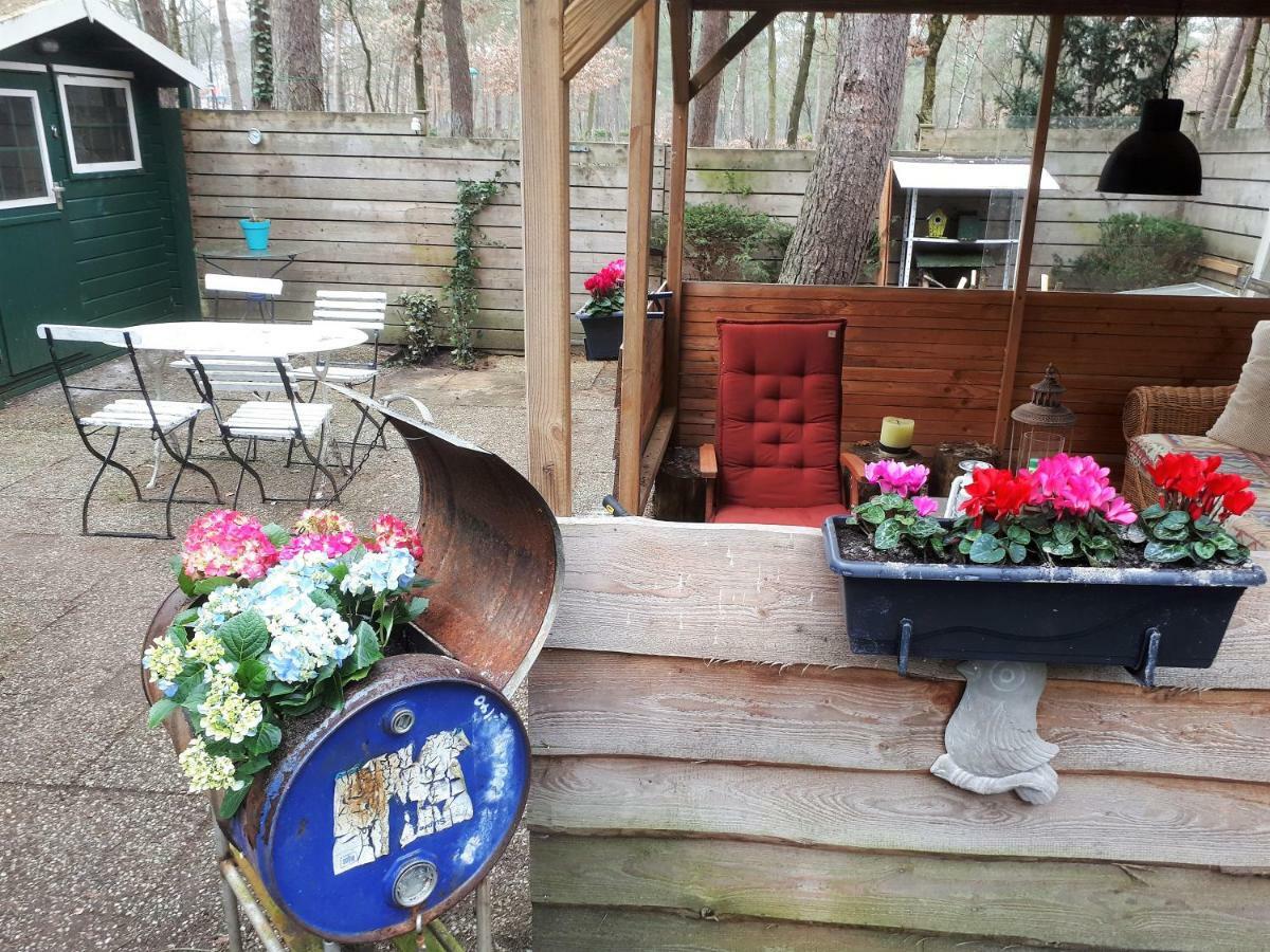 Boshuis Turquoise / Smaakvol Genieten Op De Veluwe Hoenderloo Εξωτερικό φωτογραφία